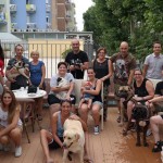 Pets Hotel Rimini animali ammessi