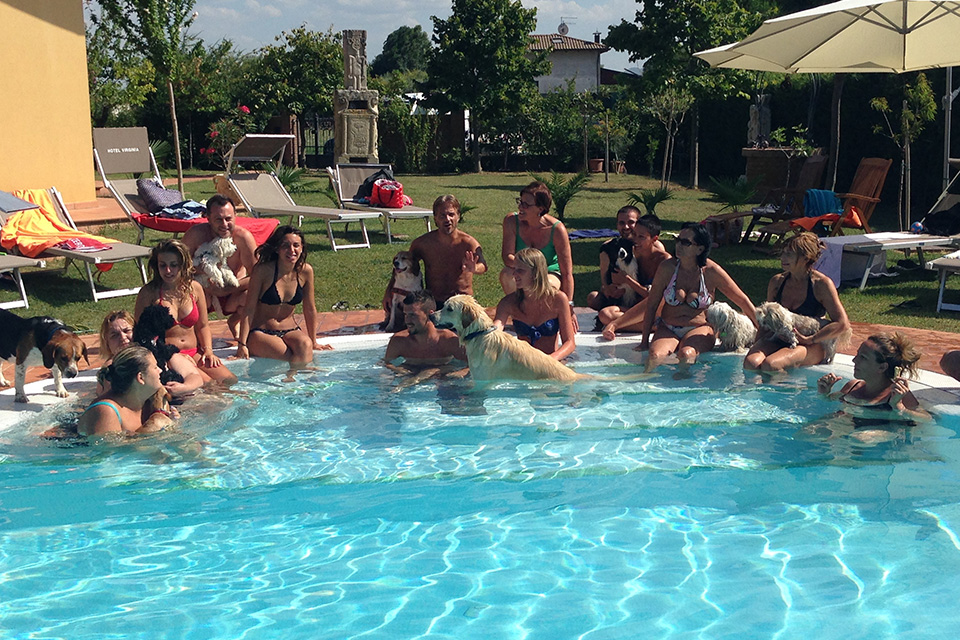 Foto di gruppo cani in piscina Hotel Virginia