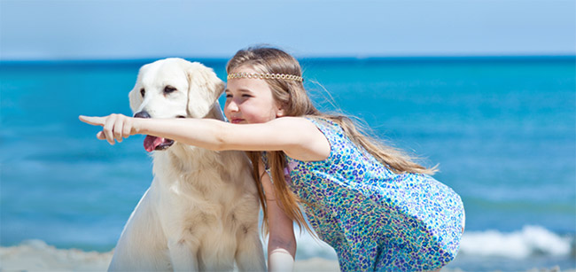 In spiaggia con il cane Rimini