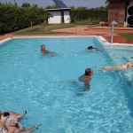 Offerte vacanze per cani animali