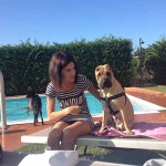 Offerte Hotel per cani Rimini