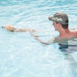 Vacanza al mare con il cane Rimini