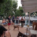 Hotel per cani Rimini 3 stelle