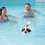 Hotel Virginia piscina cani