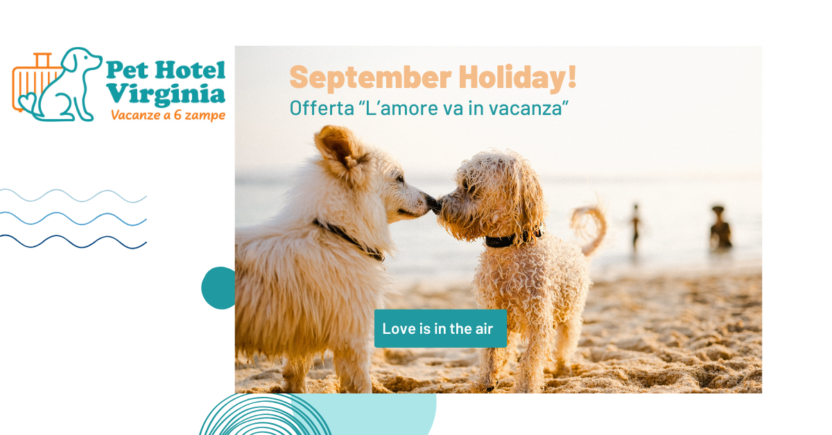 September Holiday! 5